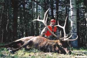 Alpine meadows trophy elk hunt in Colorado