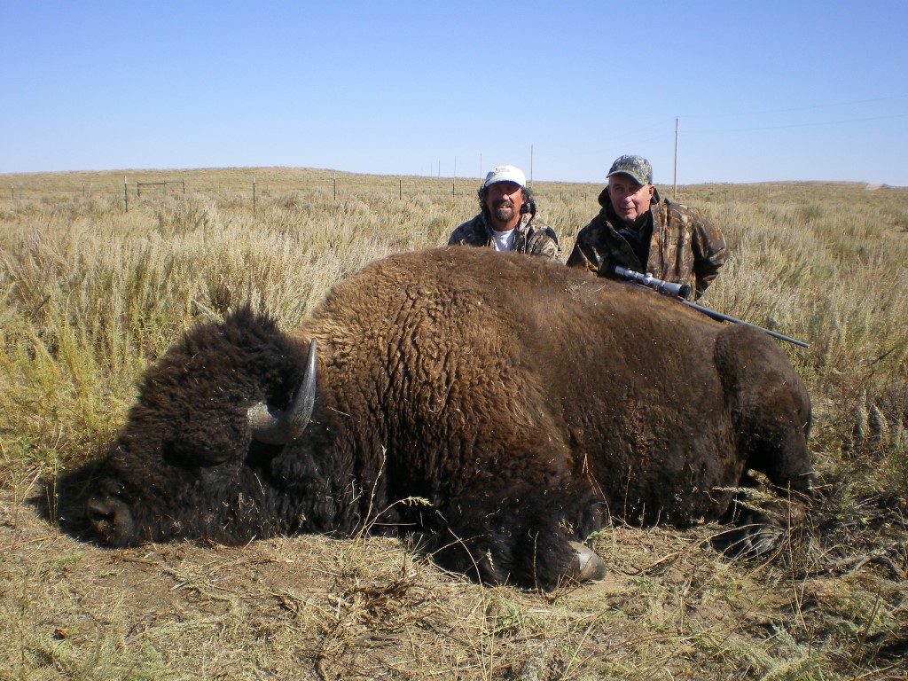 Trophy Bison Hunts