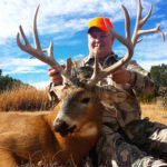 cow elk, bulls and bucks