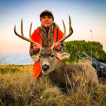 cow elk, bulls and bucks