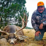cow elk, bulls and bucks