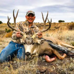cow elk, bulls and bucks