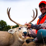 cow elk, bulls and bucks