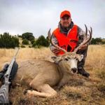 cow elk, bulls and bucks