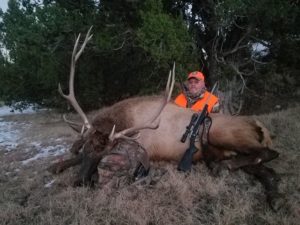 Guided Colorado Hunts
