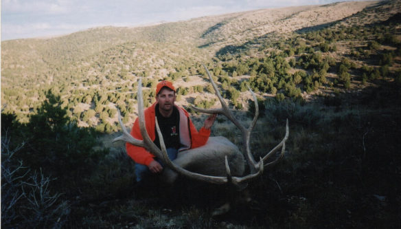 Elk Hunts Colorado
