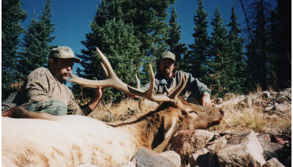 Elk Hunts Colorado