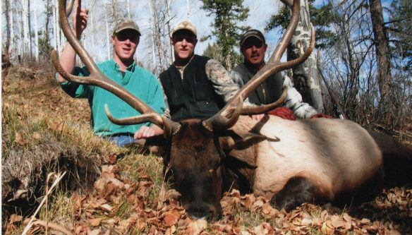 Elk Hunts Colorado