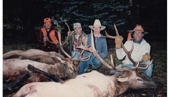 Elk Hunts Colorado