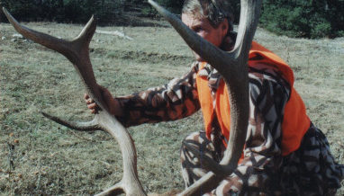 Elk Hunts Colorado