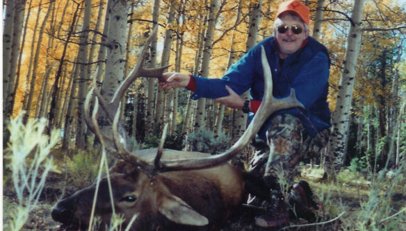 Elk Hunts Colorado