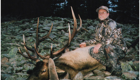 Elk Hunts Colorado