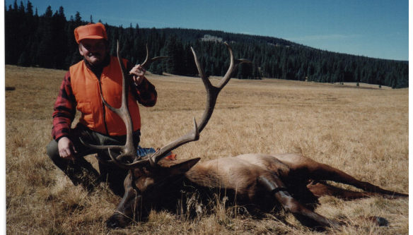 Elk Hunts Colorado