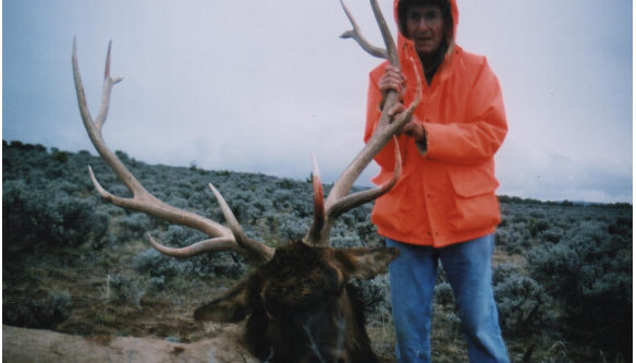 Elk Hunts Colorado