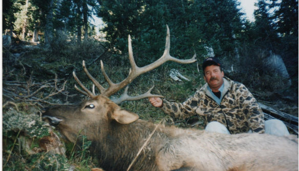 Elk Hunts Colorado