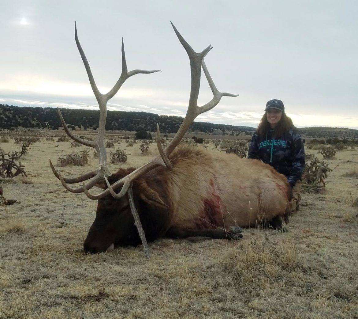 Eastern Colorado Elk Hunts