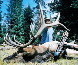 Alpine meadows trophy elk hunt in Colorado