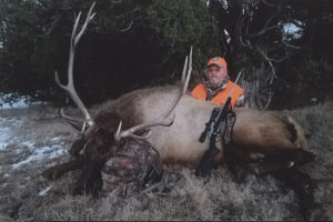 Elk Archery Hunts