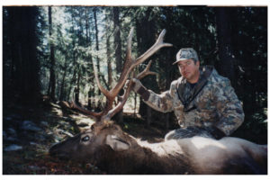 Elk Hunts Colorado