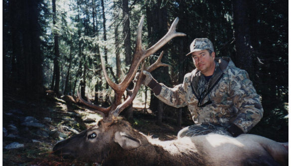 Elk Hunts Colorado