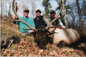 Elk Hunts Colorado