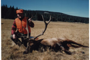 Elk Hunts Colorado