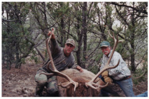 Elk Hunts Colorado