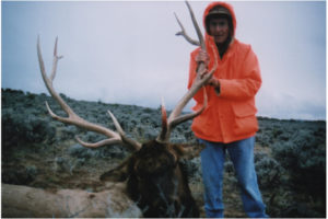 Elk Hunts Colorado