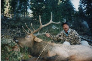 Elk Hunts Colorado