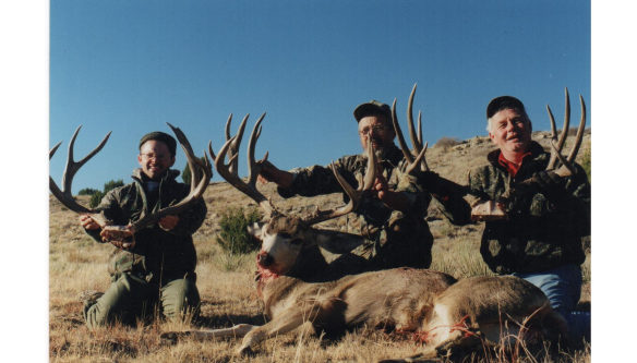 Mule Deer Hunts Colorado