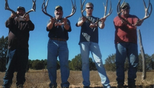 Mule Deer Hunts Colorado