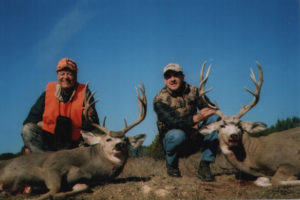 Mule Deer Hunts Colorado