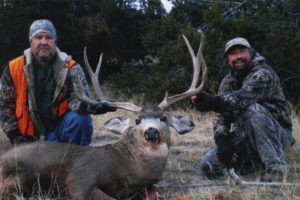 Mule Deer Hunts Colorado