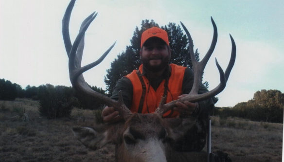 Mule Deer Hunts Colorado