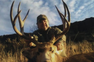 Mule Deer Hunts Colorado