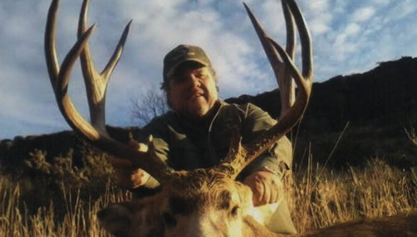 Mule Deer Hunts Colorado
