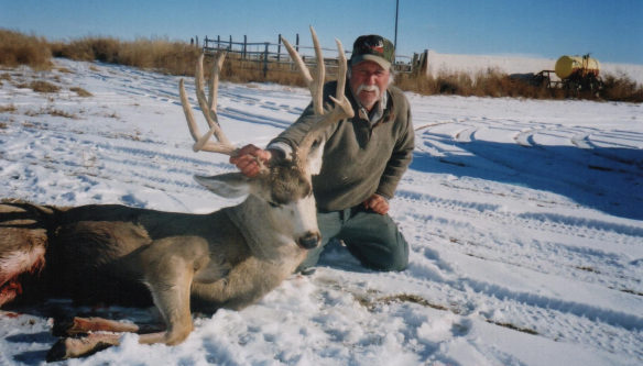 Mule Deer Hunts Colorado