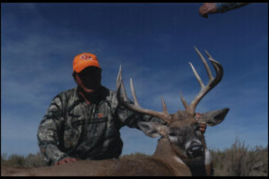 Whitetail Deer Hunts Colorado