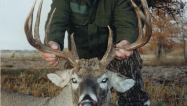 Whitetail Deer Hunts Colorado