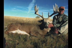 Elk Hunts Colorado