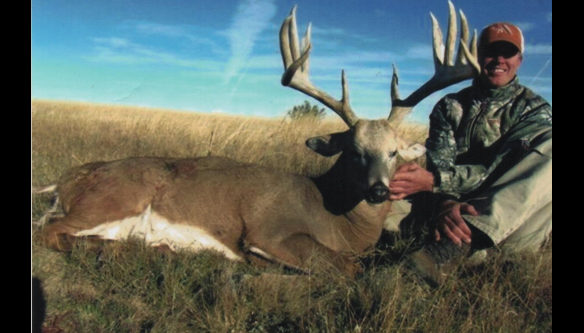Elk Hunts Colorado