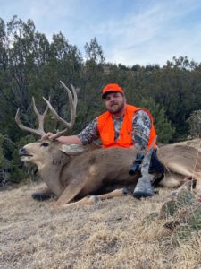 Colorado Big Game Hunts