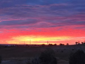 Colorado Big Game Hunts